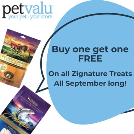 BUy one Get One Free 2